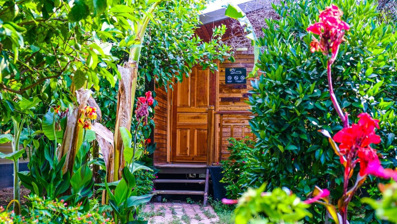 Lemon Garden Bed and breakfast